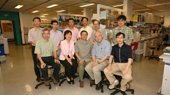 Prof Nancy Ip with her research team	