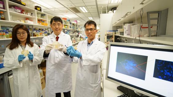 錢培元教授（中）與團隊成員李泳新博士（右）及博士研究生王若珺（左）透過於海水中培育生物膜，發現了7,000多個全新海洋微生物種(培養皿及電腦屏幕所示)。