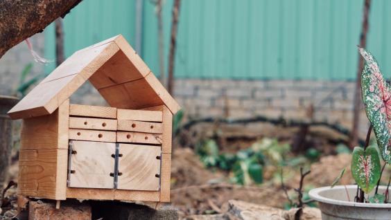 用木头和其他物料搭建小小的蜂箱，已可为独居蜂提供基地。这些蜂箱可放置在家居或公园任何角落，在自然环境中增添蜜蜂授粉的机会。