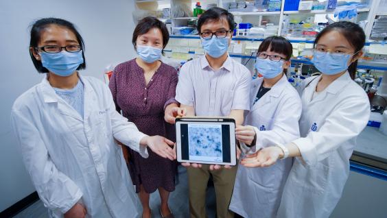 Prof. GUO Yusong (third left), Prof. YAN Yan (second left) and their research team
