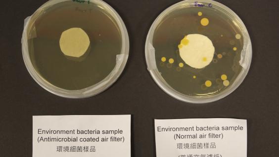  使用科大抗菌塗層空氣濾紙(左)的環境細菌樣本，與使用普通空氣濾紙(右)樣本的比較。