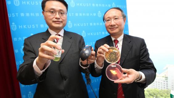 Prof King-Lun Yeung (left) demonstrates the application of the coating while Prof Joseph Kwan contrasts two laboratory samples to illustrate the efficacy of the coating	