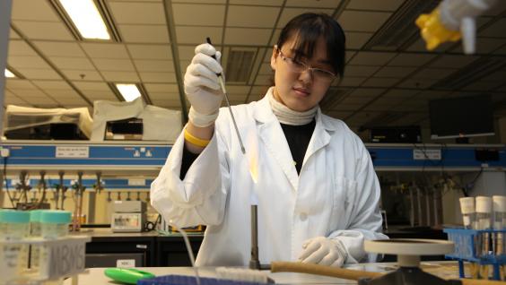 Student Joyce Zhang doing an experiment for the iGEM project	