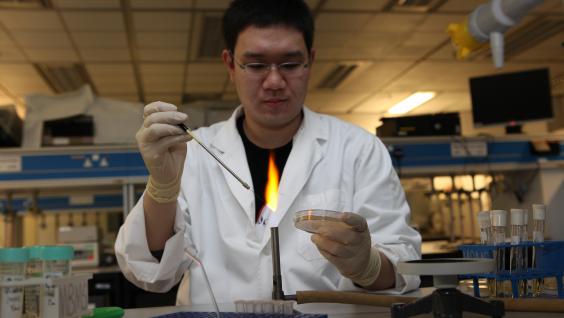 Student Rory Li working in the laboratory