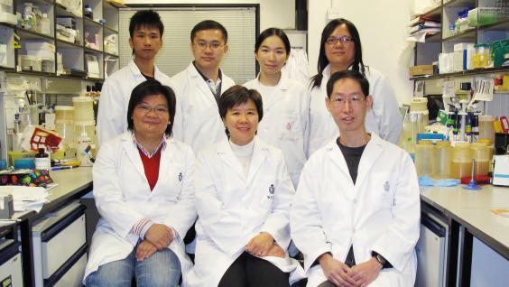 Prof Nancy Ip (front middle) and her research team