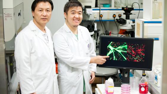 Prof Zhenguo Wu (left) and Dr Yarui Diao.