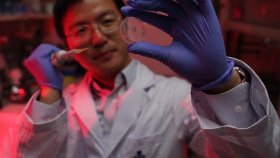  Prof Sun Fei and the new protein-based hydrogel developed by his team