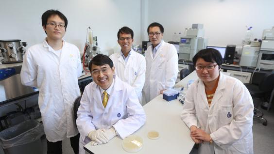  The research team led by Prof Qian Pei-Yuan (second left) discovered for the first time that “D-stereospecific resistance peptidases” could render peptide antibiotics useless.