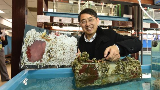  Prof Qian demonstrates the effect of his antifouling coating. The smooth surface on the left is a result after applying the coating for 18 months, while the one on the right shows what happened after more than two years.