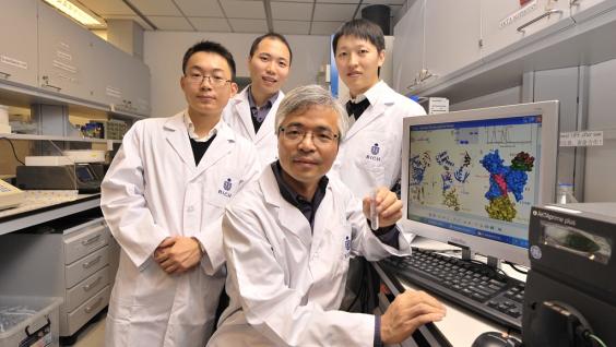 张 明 杰 教 授 （ 前 ） 及 他 的 研 究 团 队 -（ 左 起 ） 潘 李 锋 博 士 、 魏 志 毅 博 士 及 武 林 先 生 。	