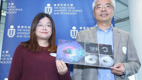  张明杰教授 (右) 与叶菲教授利用由精神分裂症患者细胞构建出来的模拟人脑进行实验